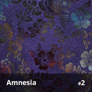Amnesia 2